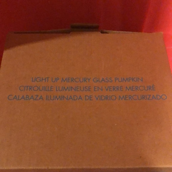 Light Up Mercury Glass Pumpkin Decor - Picture 4 of 7